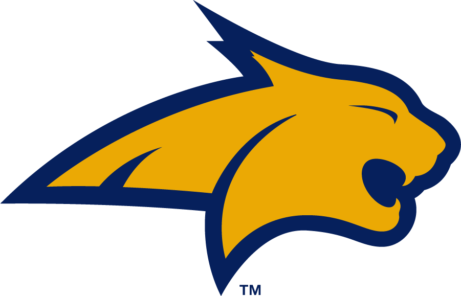 Montana State Bobcats 2006-2013 Alternate Logo v2 diy iron on heat transfer